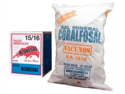SAL COBALFOSAL 15/16